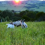 Bed & Breakfast Conca Marina Tempio Pausania