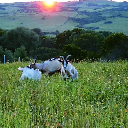 Bed & Breakfast Conca Marina Tempio Pausania