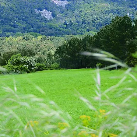 Oda ve Kahvaltı Conca Marina 3*