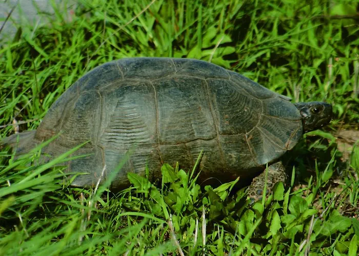 Panzió Conca Marina Tempio Pausania