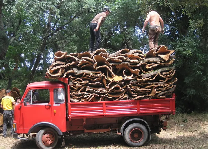 Panzió Conca Marina 3*